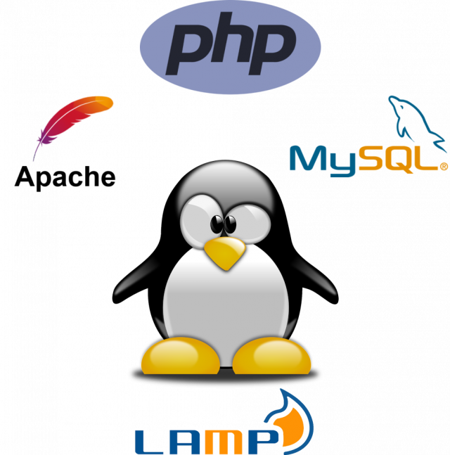 Install Linux, Apache, MySQL and PHP (LAMP) on Ubuntu 24.04